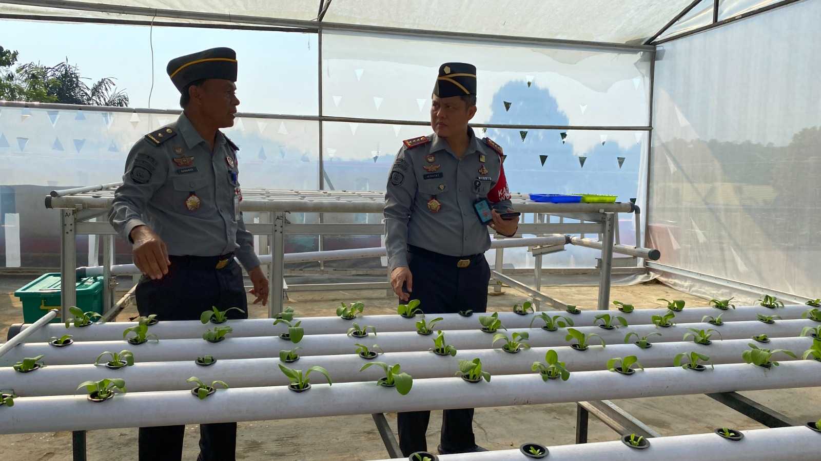 Kembangkan Hidroponik Skala Besar, Hidayat Kalapas Pantau Secara Langsung Kebun Hidroponik